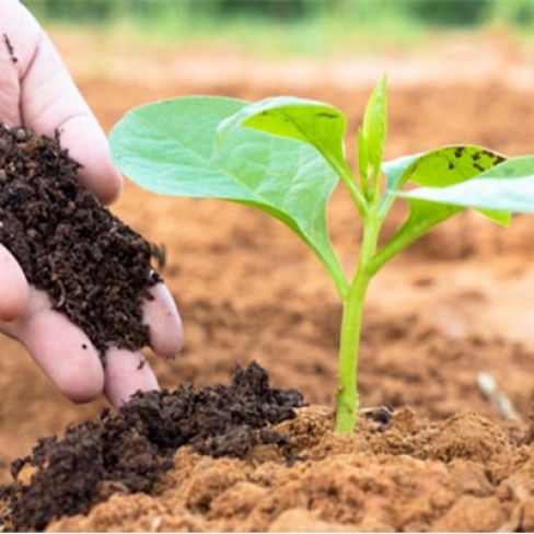 Make your own dry nitrogen organic fertilizer