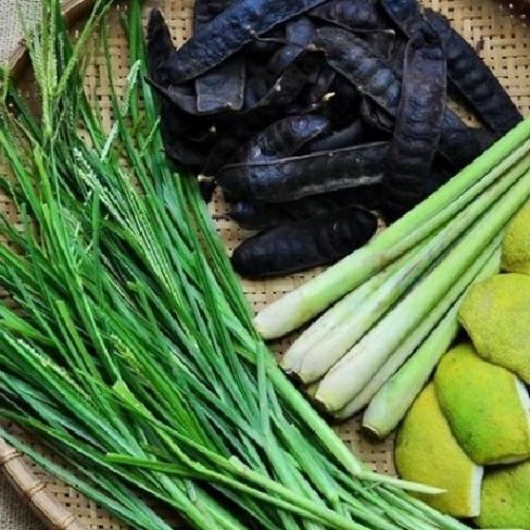 How to make locust shampoo