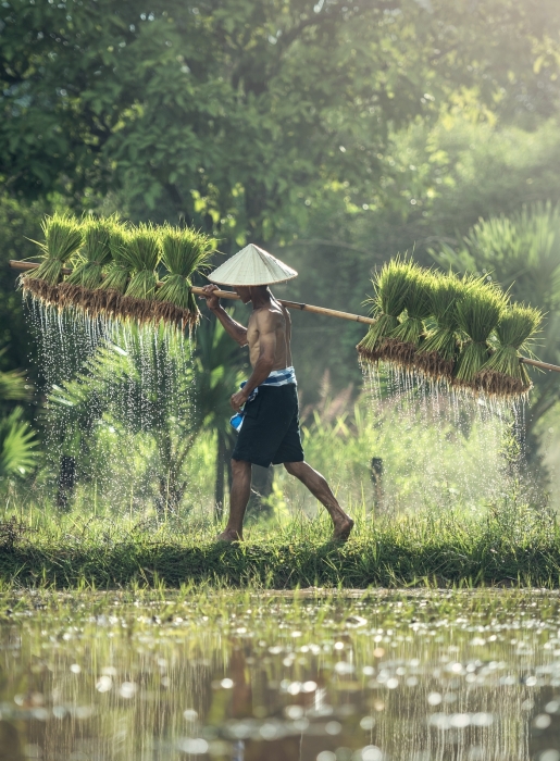 TOURS: VISIT THE FARM