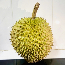 Fresh Durian - Ri6