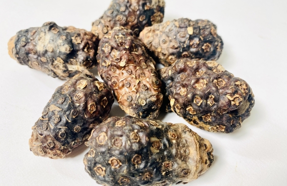 Dried Noni (Shape: whole)