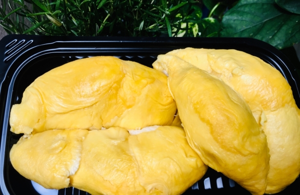 Fresh Durian - Ri6