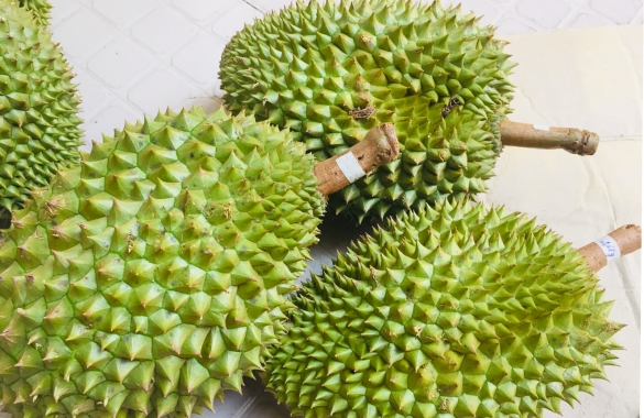 Fresh Durian - Ri6